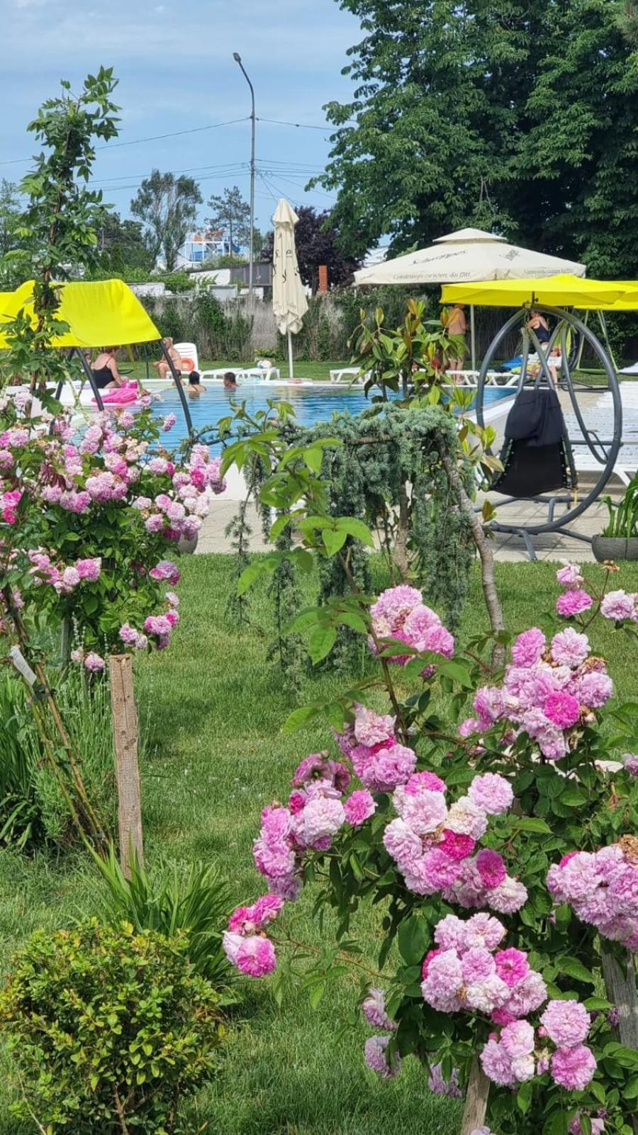 Hotel Iulia Resort Venus Luaran gambar