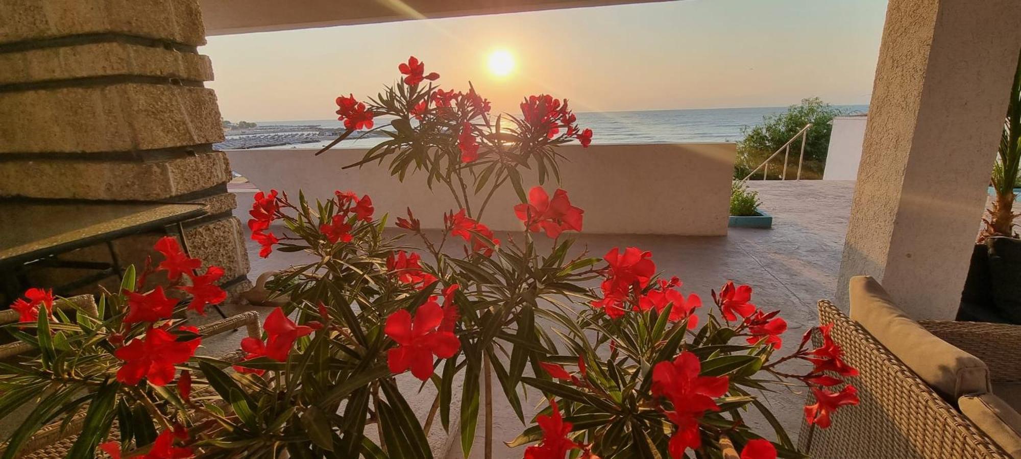 Hotel Iulia Resort Venus Luaran gambar