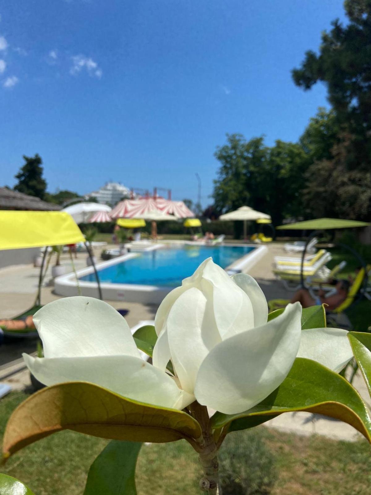 Hotel Iulia Resort Venus Luaran gambar
